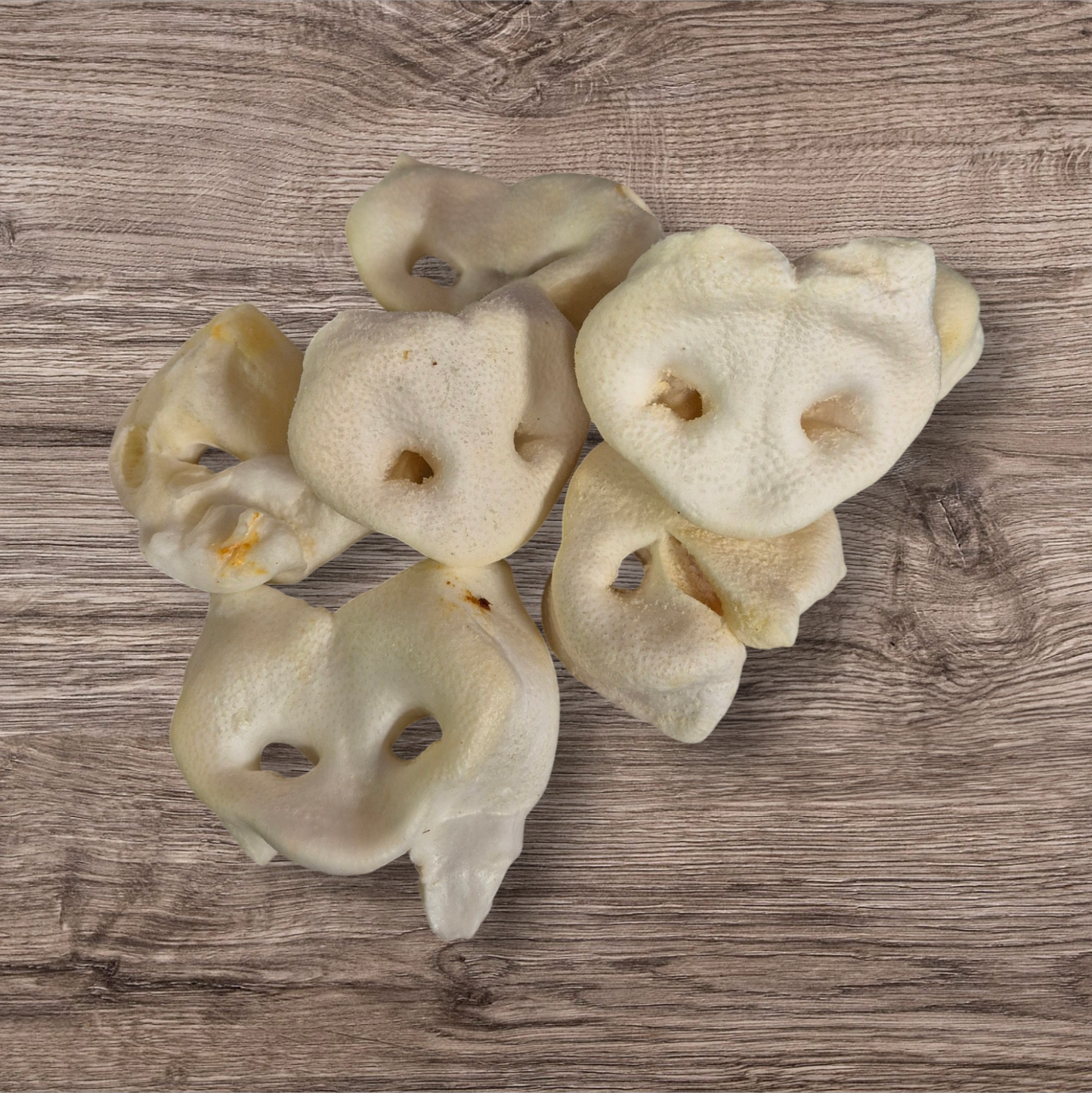 Puffed Pig Snout Large