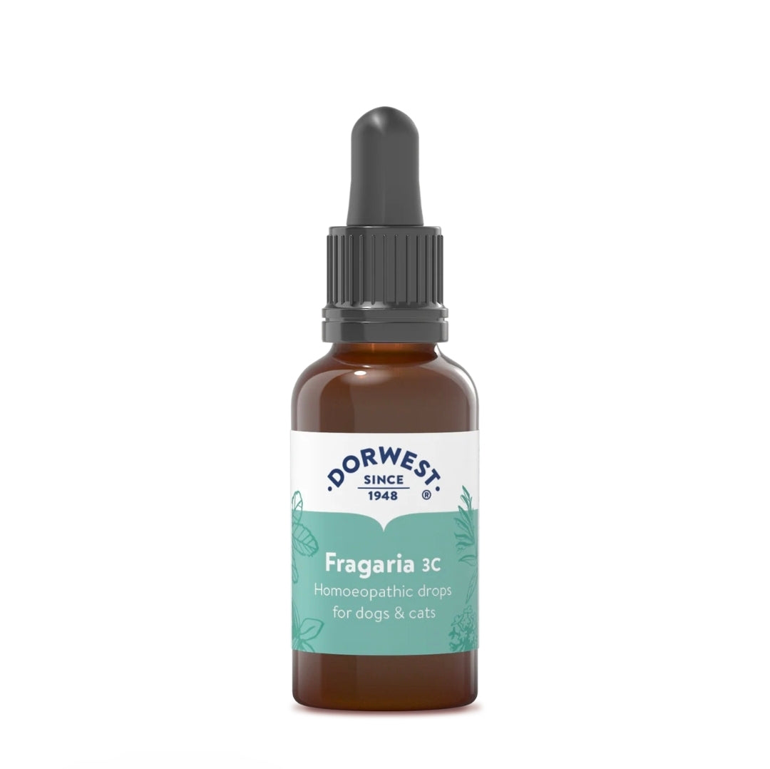 Dorwest Fragaria 3c 15ml Liquid